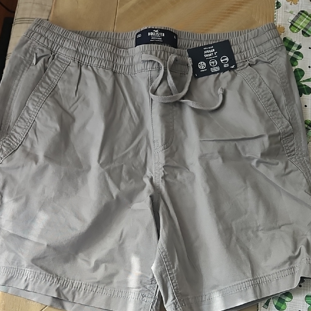 NWT Men's Hollister Shorts
